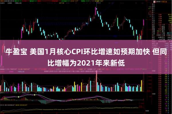 牛盈宝 美国1月核心CPI环比增速如预期加快 但同比增幅为2021年来新低