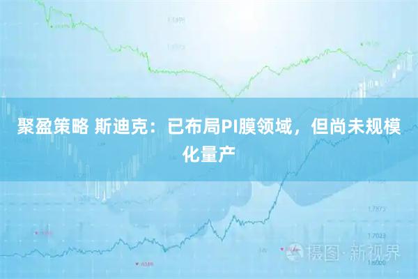 聚盈策略 斯迪克：已布局PI膜领域，但尚未规模化量产
