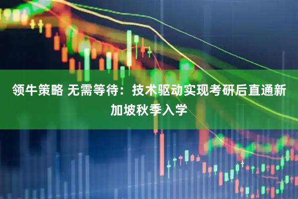 领牛策略 无需等待：技术驱动实现考研后直通新加坡秋季入学